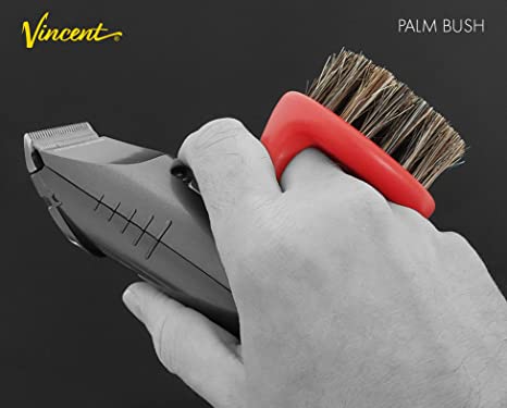 VINCENT PALM BRUSH